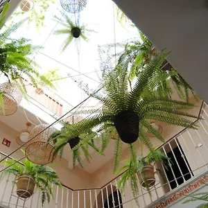 Gasthof Cordoba, Sevilla